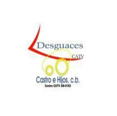 DESGUACE CASTRO E HIJOS