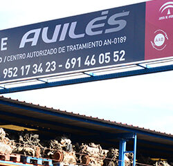 AUTODESGUACE AVILÉS