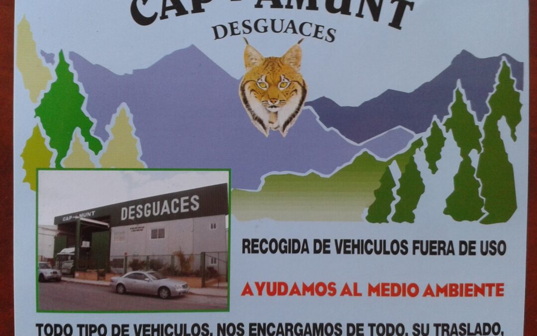 CAP – AMUNT DESGUACES S.L.