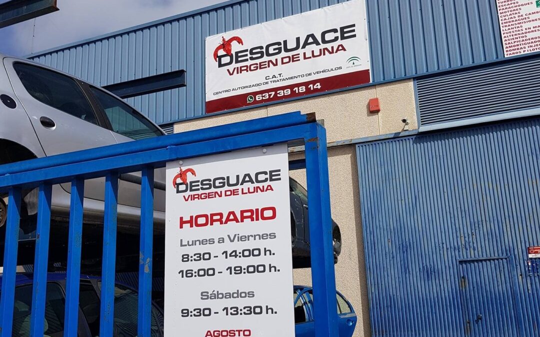 DESGUACE VIRGEN DE LUNA