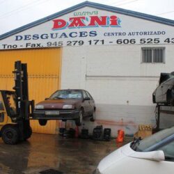 DESGUACES DANI