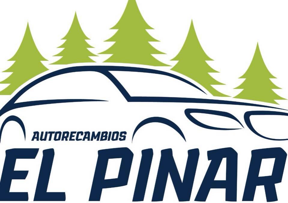 DESGUACE EL PINAR