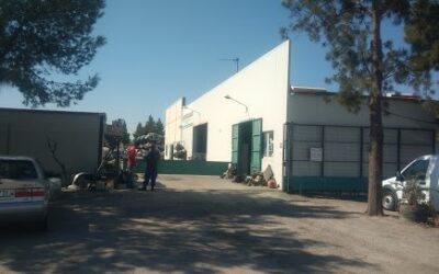 Auto Desguace Pérez Aguayo