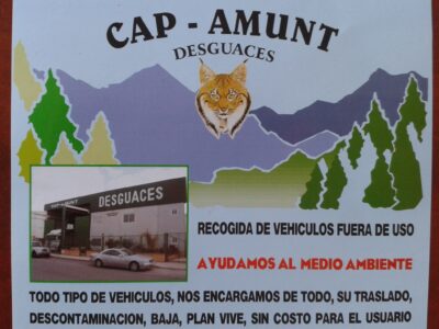 CAP - AMUNT DESGUACES S.L.