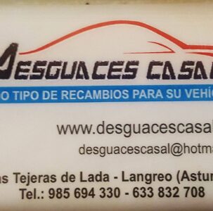 DESGUACES CASAL