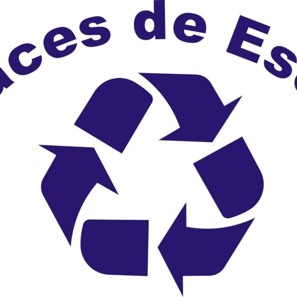 DESGUACES ESCOBEDO