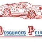 DESGUACES PELÁEZ