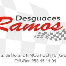DESGUACES RAMOS S.L.