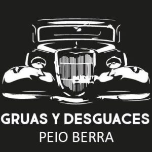 DESGUACES Y GRÚAS PEIO BERRA