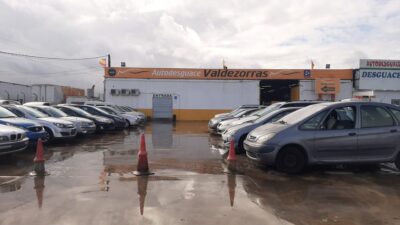 DESGUACE VALDEZORRA