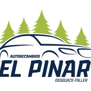 DESGUACE EL PINAR