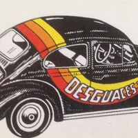 DESGUACES REUS