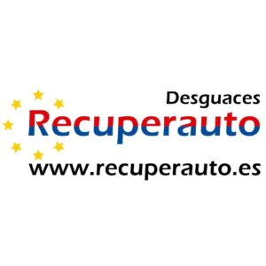 RECUPERAUTO S.L.