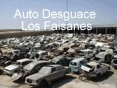 DESGUACES LOS FAISANES S.L.