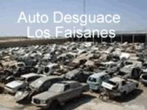 DESGUACES LOS FAISANES S.L.