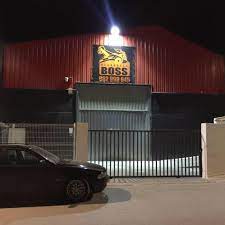 DESGUACES BOSS