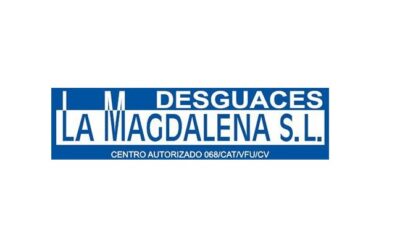 DESGUACES LA MAGDALENA S.L.