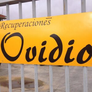 RECUPERACIONES OVIDIO